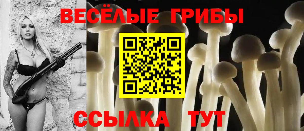 Галлюциногенные грибы мухоморы  Вход с VPN  Майский 